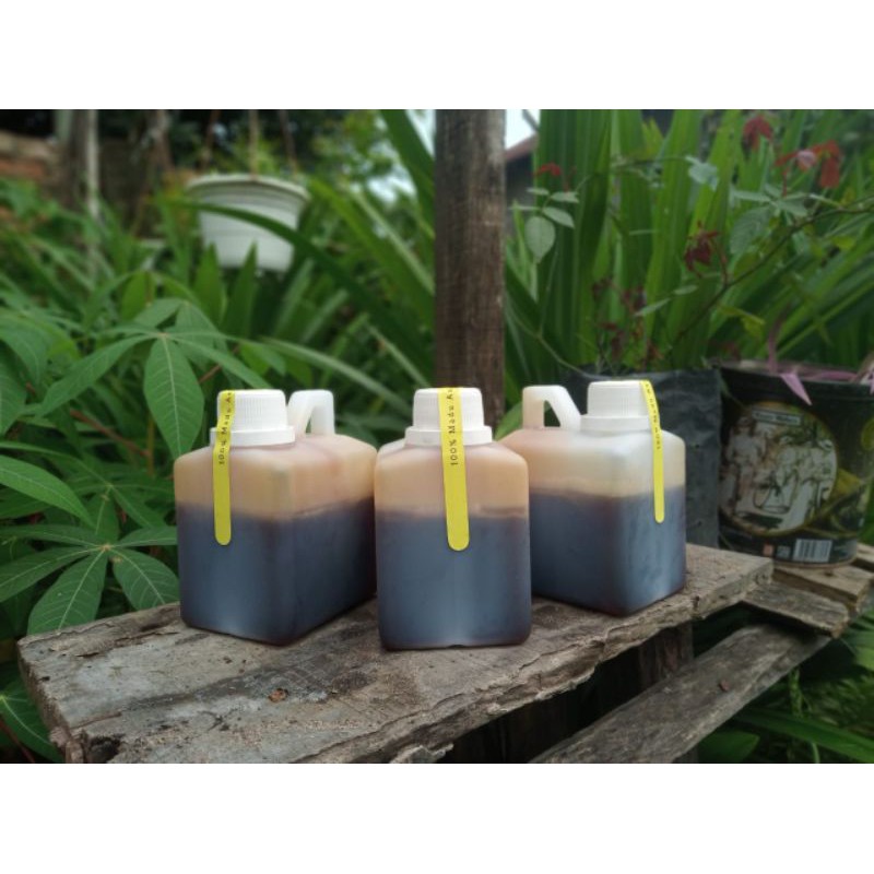 

Madu murni akasia Jambi (RAW HONEY) 500 gram