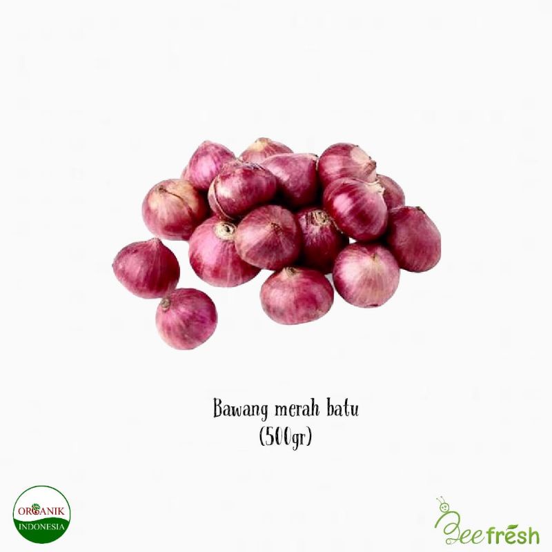 

Bawang Batu