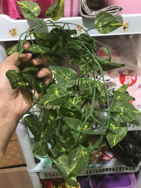 Daun Rambat Sri Gading 2m Dekorasi Home