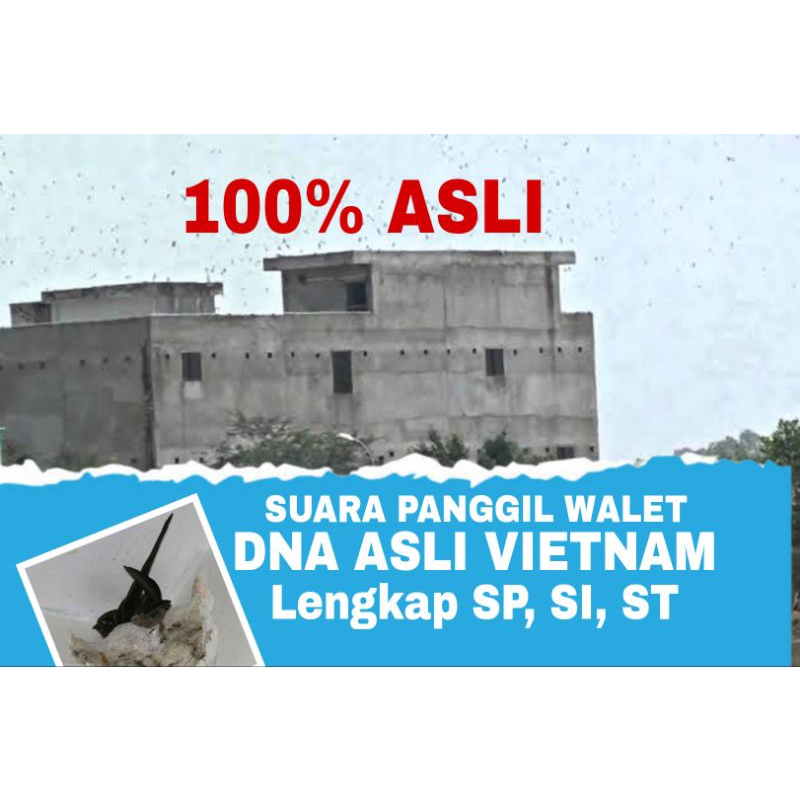 SUARA PANGGIL RESFON JOS, SEDOT WALET MUSIM ANAKAN