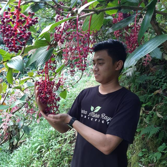 

Parijotho Muria 10k
