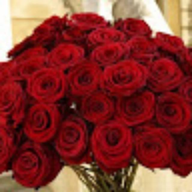 mayajuliyanah060419