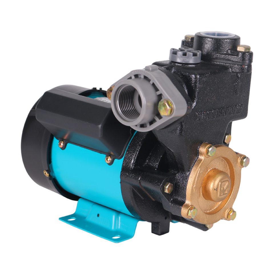 Shallow Pump PW-131E/pompa wasser anti karat tahan panas