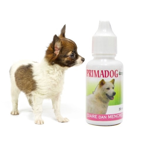 30ML PRIMA CAT&amp;DOG - Obat Diare&amp;Mencret