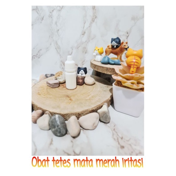 Tetes mata merah iritasi kucing