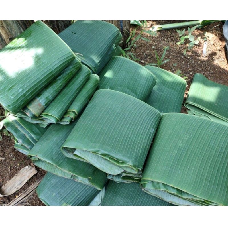 

Daun Pisang