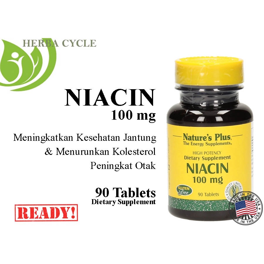 NP Niacin 100 mg 90 Tablets ORI USA Niacin