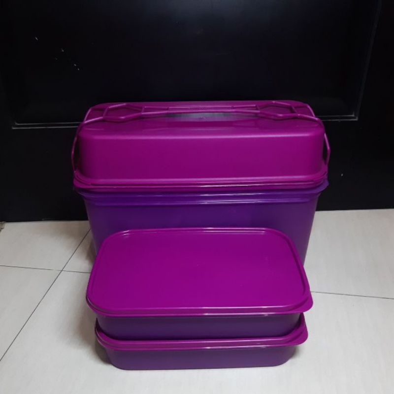 Tupperware - Malaysia- Shallow Carry All Set/ Picnic Set