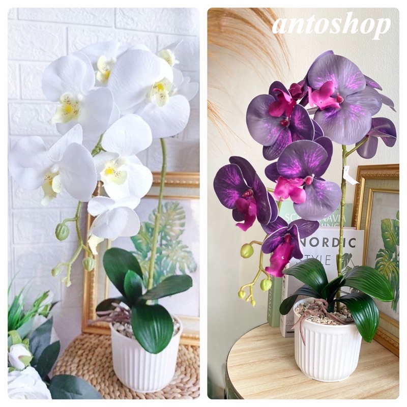 Bunga Anggrek Latex Murah Cabang 1 Premium Jumbo Artificial Imitasi Pajangan Rumah Grosir