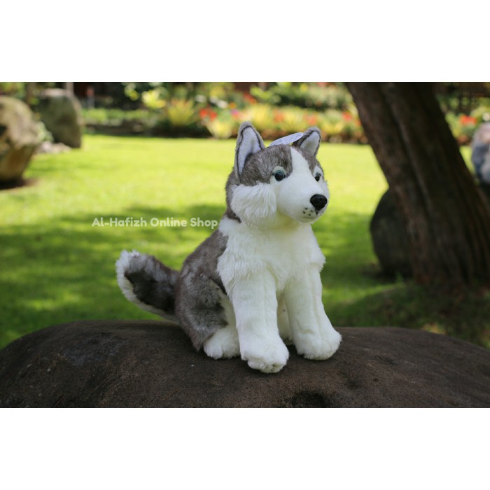 Boneka Anjing Husky