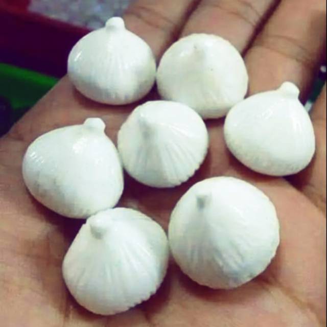 

Mustika Kelapa KW super