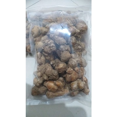 

Kencur segar pilihan kemasan 200gr