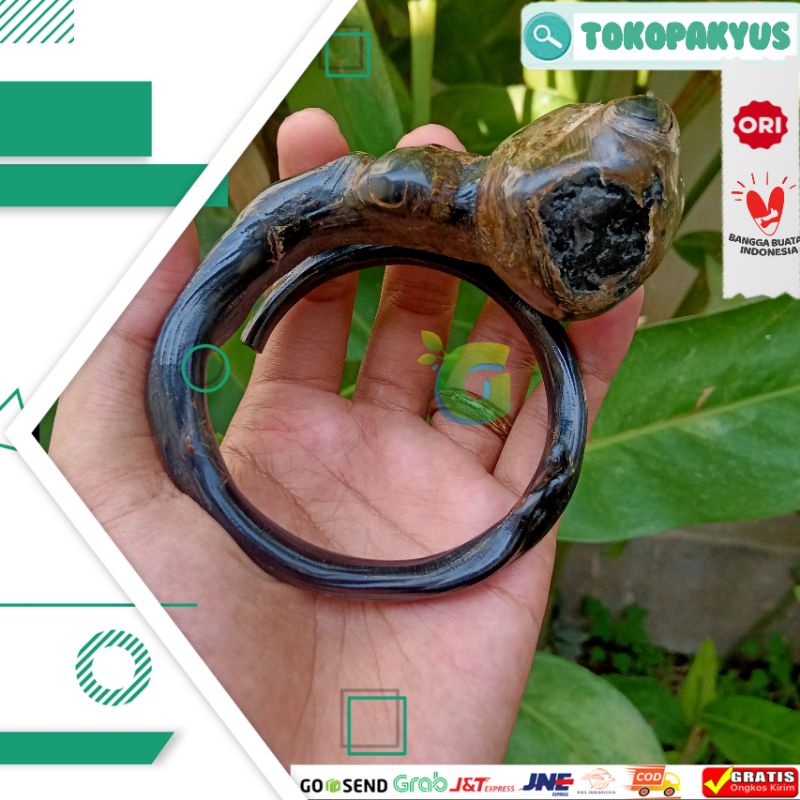 Akar Bahar Asli - Gelang Akar Bahar Bonggol Semi Jumbo