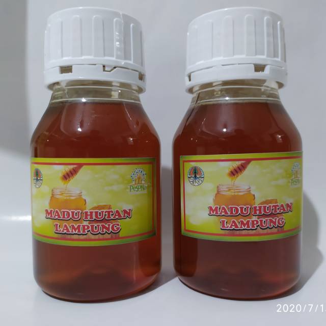 

Madu hutan Lampung