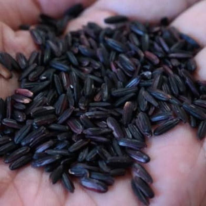 

Beras Hitam Premium Organik Bersih Higienis Kaya Manfaat 5Kg