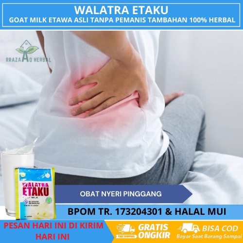 Obat Sakit Pinggang dan Syaraf Kejepit, Encok, Sakit Tulang Belakang, Rematik, Asam Urat, Pengapuran