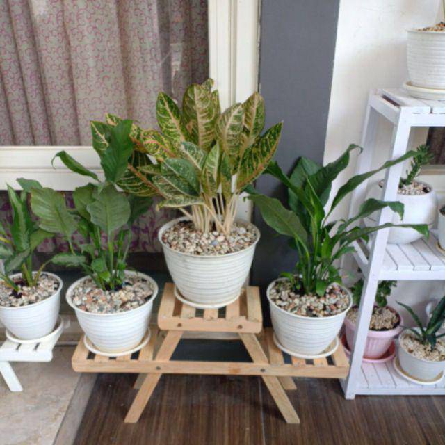 Rak bunga wooden minimalis 3 tempat bunga / tempat bunga / standing pot / rak bunga kayu (RBML)