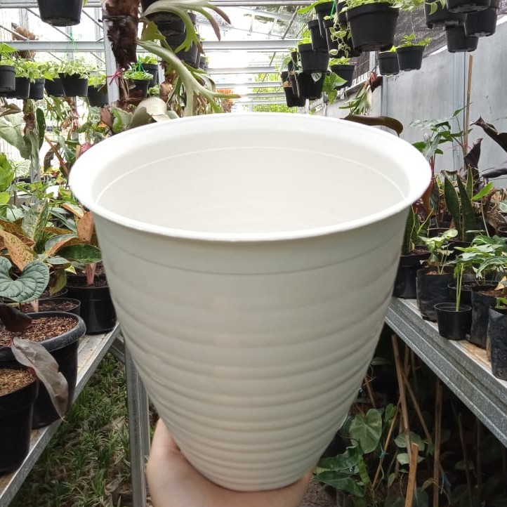 Pot Bunga Taiwan P-Bee 185 (Pirus/Tinggi) Putih / Pot Tanaman