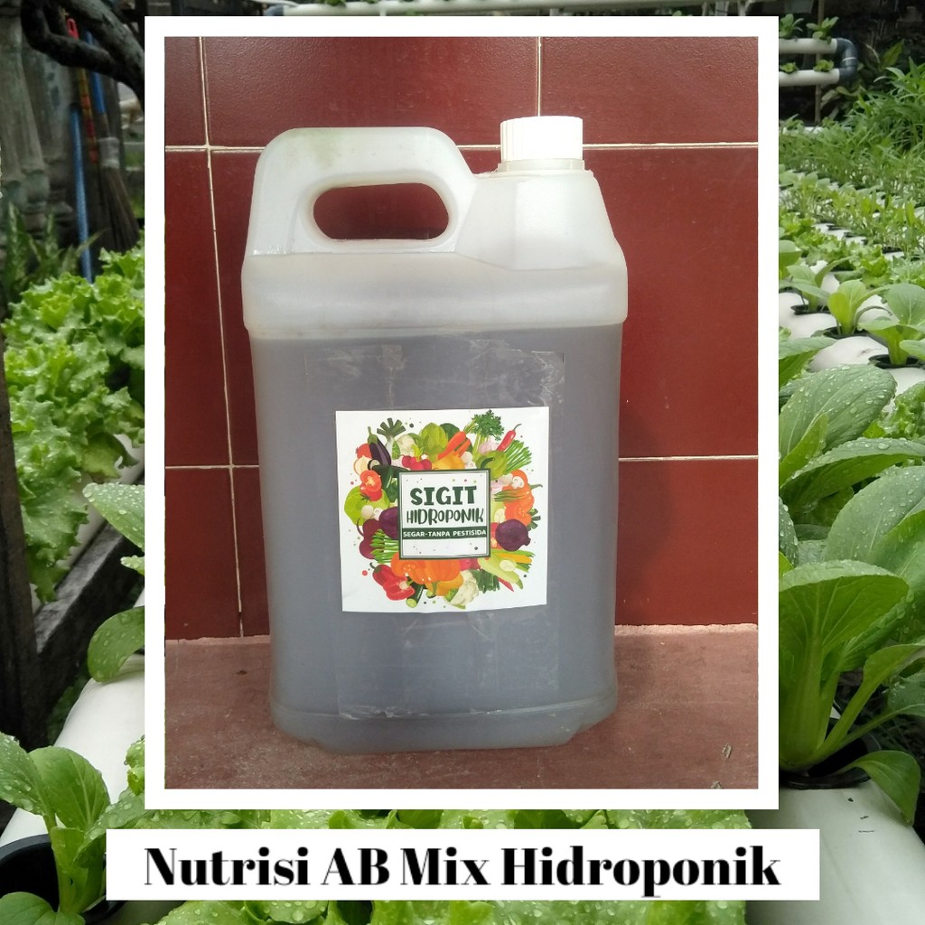 Nutrisi AB Mix Hidroponik 5 Liter
