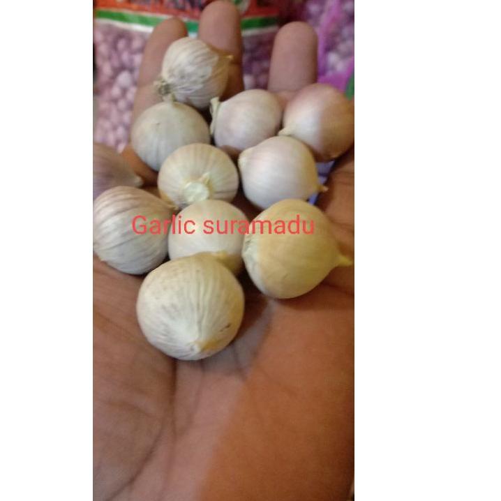 

●●● Bawang putih lanang / kulit putih besar 1kg impor !
