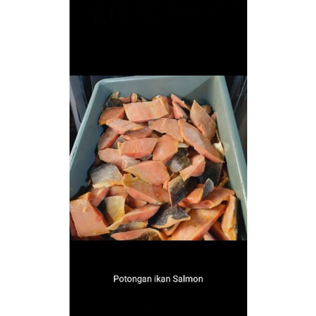 

IKAN SALMON / DAGING SALMON / TANPA DURI ( Grade A )