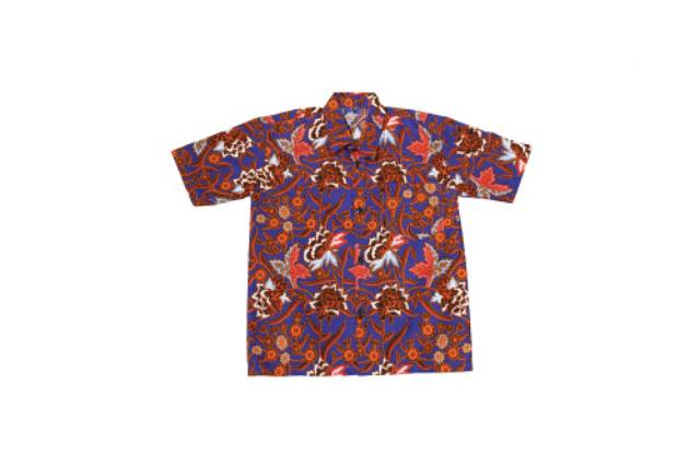 Kemeja Batik Anak Premium/Hem Batik Anak/Atasan Anak/Baju Batik Anak