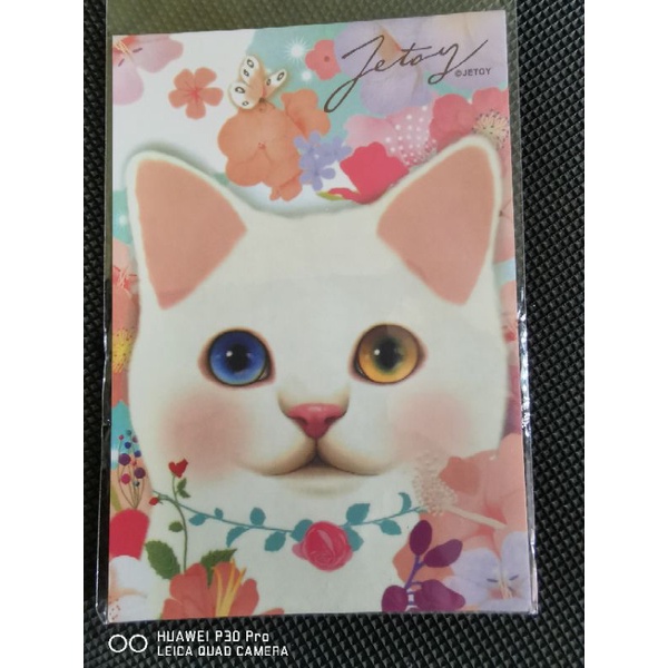 

kartu pos kucing jetoy/jetoy cat postcard