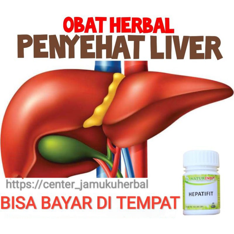 HERBAL PERAWATAN DAN KESEHATAN LIVER/HATI.NATURINDO FRESH