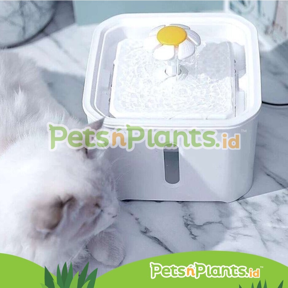 PetsNPlants.id - Tempat Minum Kucing - Pet Water Fountain - Persegi 2,5 Liter