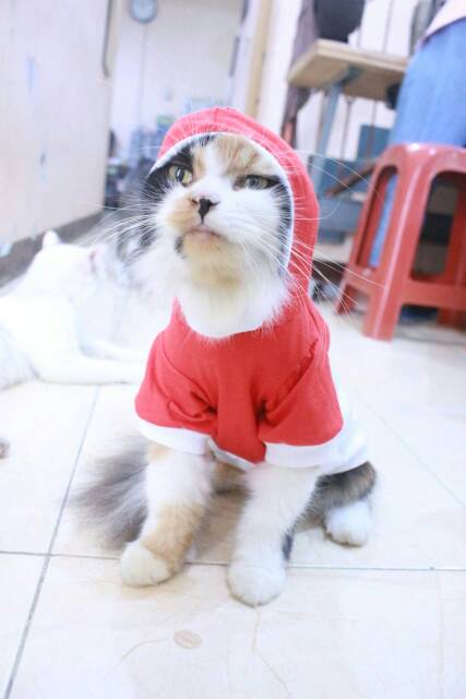 Kaos hoodie spesial 17-an merdeka / kaos hoodie murah untuk kucing dan anjing size S M L XL