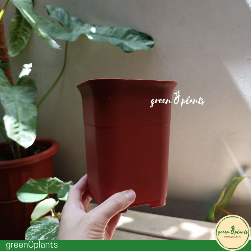 Pot Bunga Tanaman Plastik NKT Kotak 12 Coklat Bata