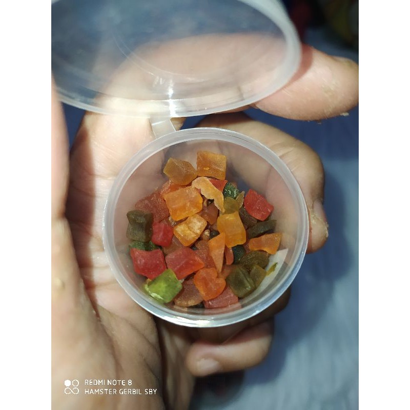 Snack Fruity Buah Kering Untuk Hamster, Sugar Glider / Snack Hamster / Makanan Hamster