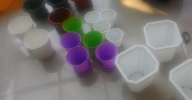 Pot Bunga Plastik Cactus 10