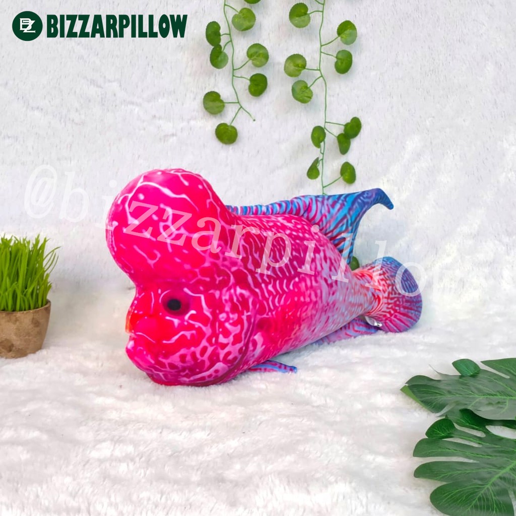 Bizzarpillow Bantal Ikan Louhan size M BZ080