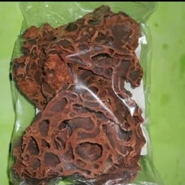 SARANG SEMUT PAPUA
