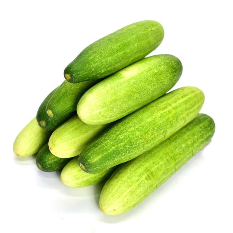 

Timun Organik 500g