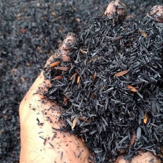 Sekam bakar sekam mentah
