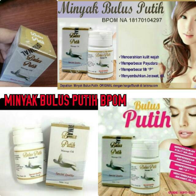 Minyak Bulus Putih Bpom Original Massage Oil Serbaguna Shopee Indonesia