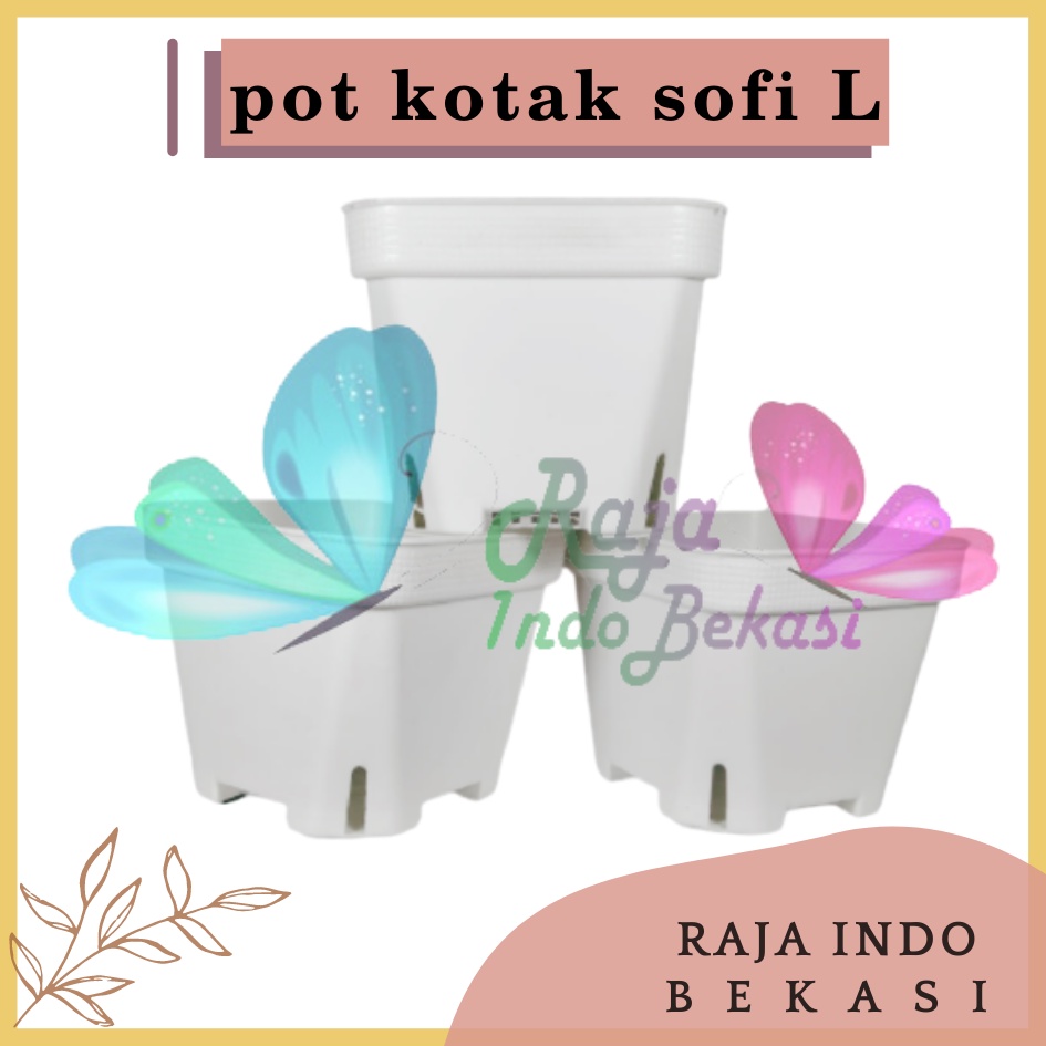 Pot Kotak Besar Sofi L 10CM Putih Tebal Pot Kaktus Mirip Juos Juoss Mini Pot Sofi Putih 10 Cm