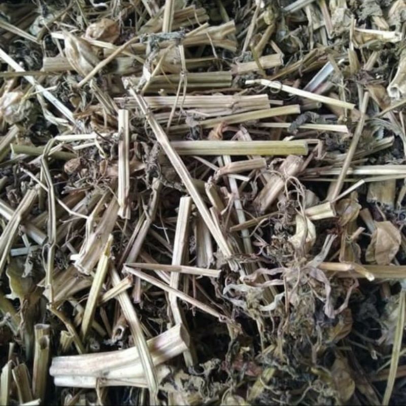 

ciplukan kering 250gr