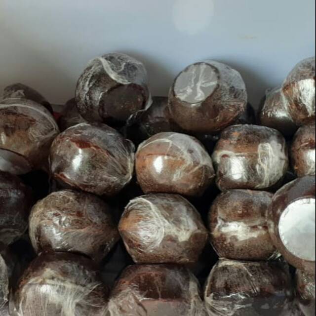 Gula Batok Linggau ASLI Gula Batok Untuk Pempek Gula Batok Cuko Pempek