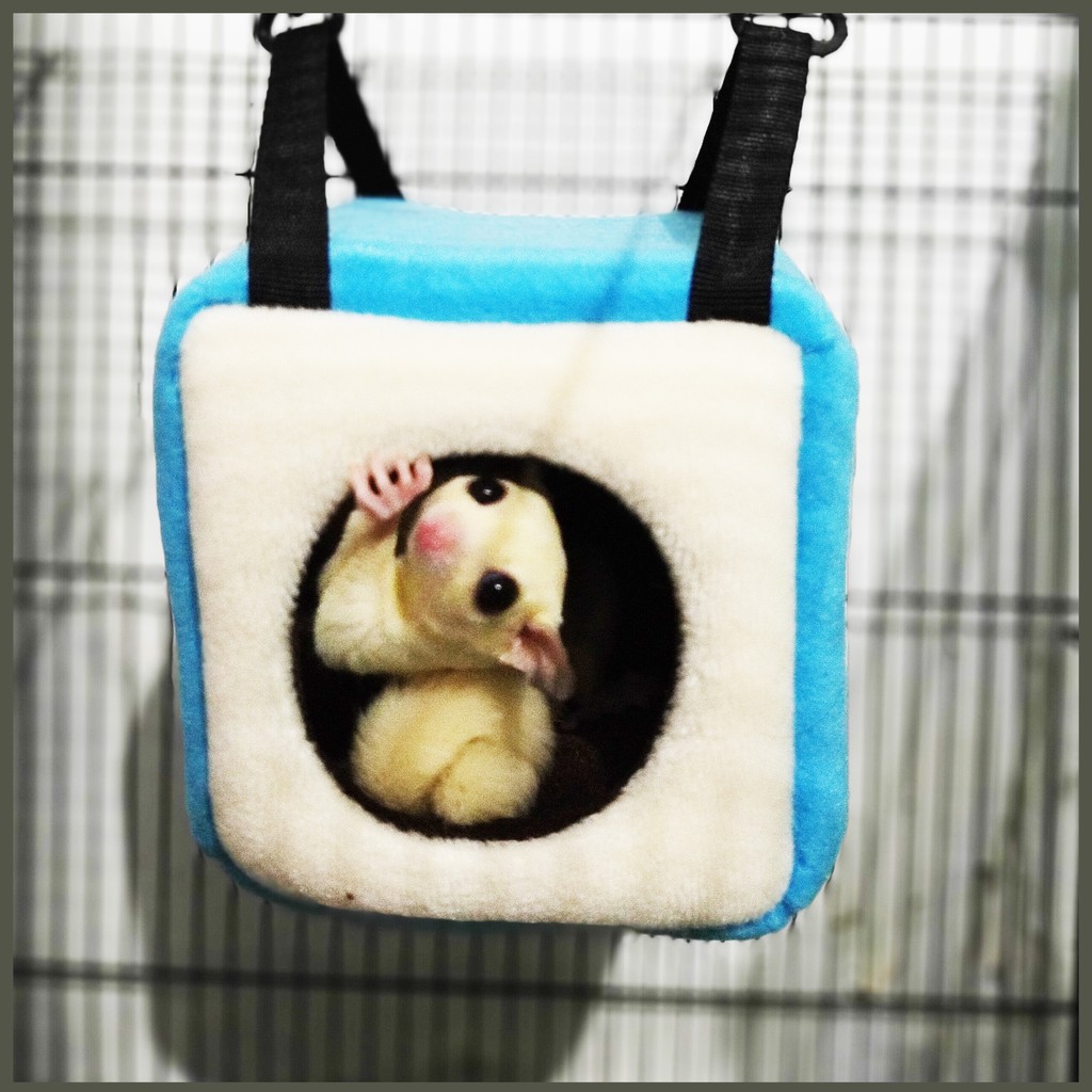 Sleeping Pouch Tempat Tidur Sugar Glider bentuk Kubus Cube