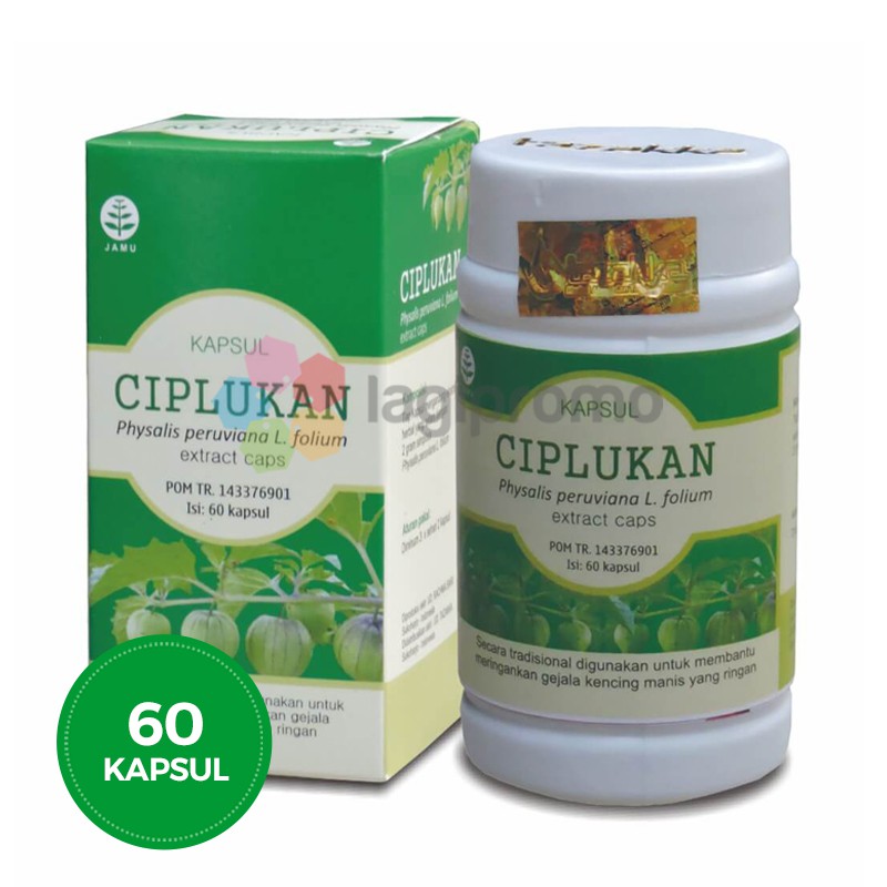 Tazakka Ciplukan 60 Kapsul Antioksidan Obat Diabetes Kencing Manis Alami