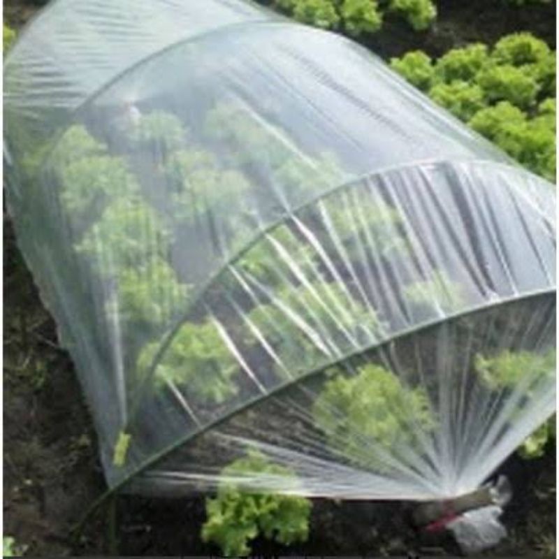 Plastik Sungkup Tanaman | Cover Pembungkus Pohon Bunga Pelindung Sinar UV Matahari | Waterproff Taha