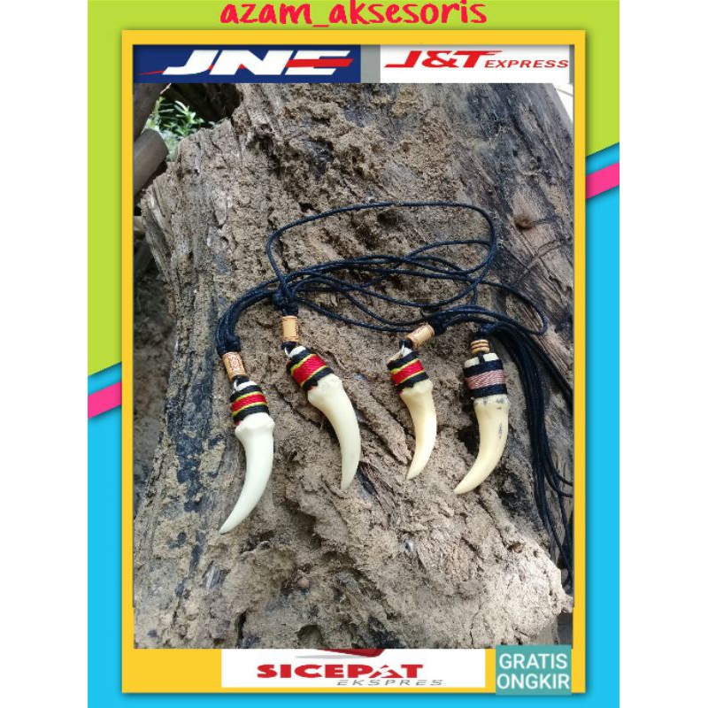kalung taring macan/kalung liomtin