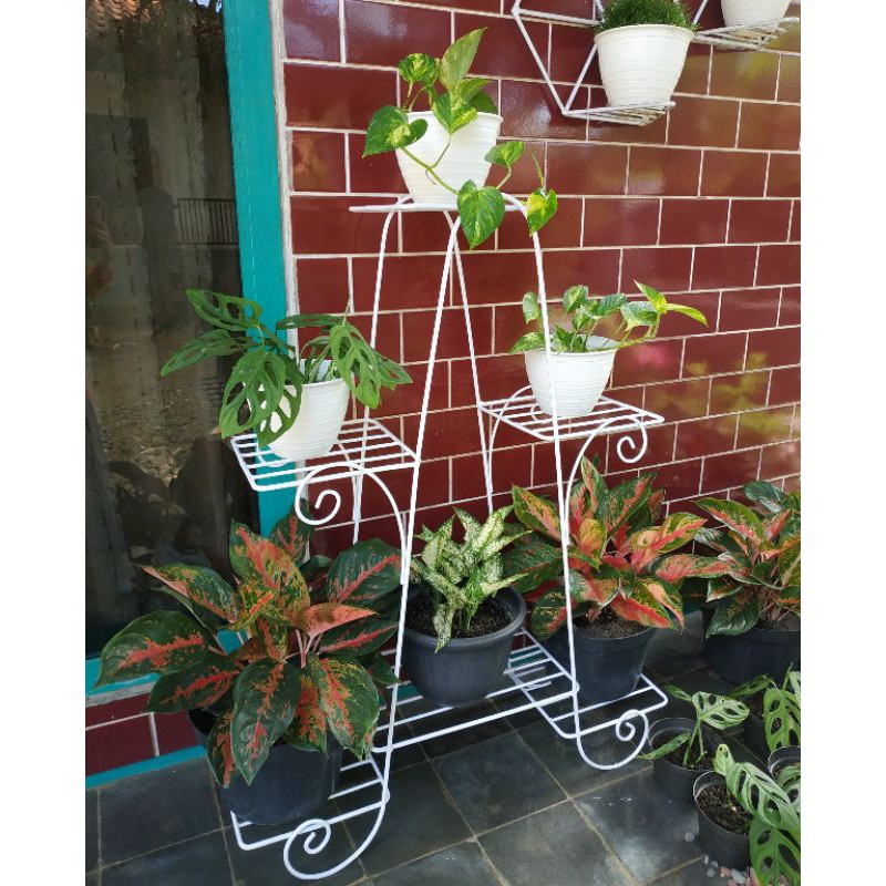 Jual Rak Pot Bunga Besi Standing Pot Indonesia Shopee Indonesia