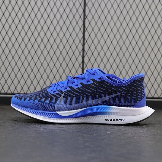 Nike Zoom Pegasus Turbo 2 Super Running Shoes AT2863-400