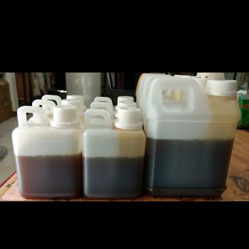 

madu kasmir / honey / madu asli