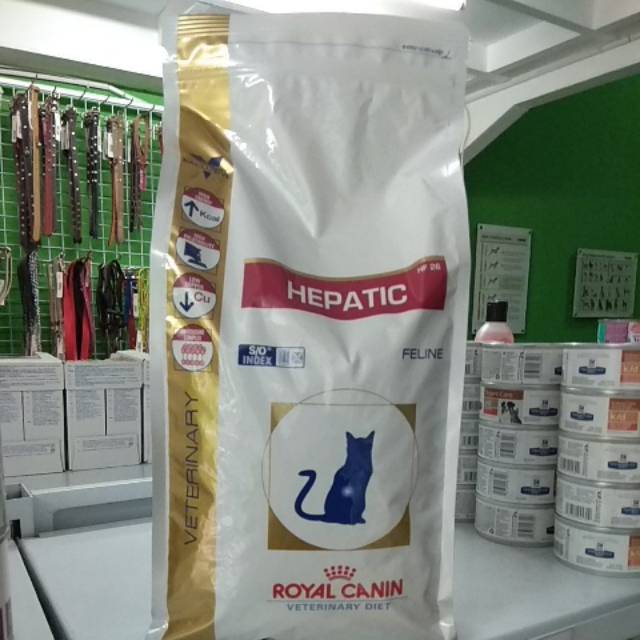 royal hepatic feline