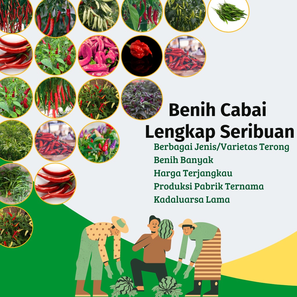 Benih Cabai Lengkap Serba Seribuan